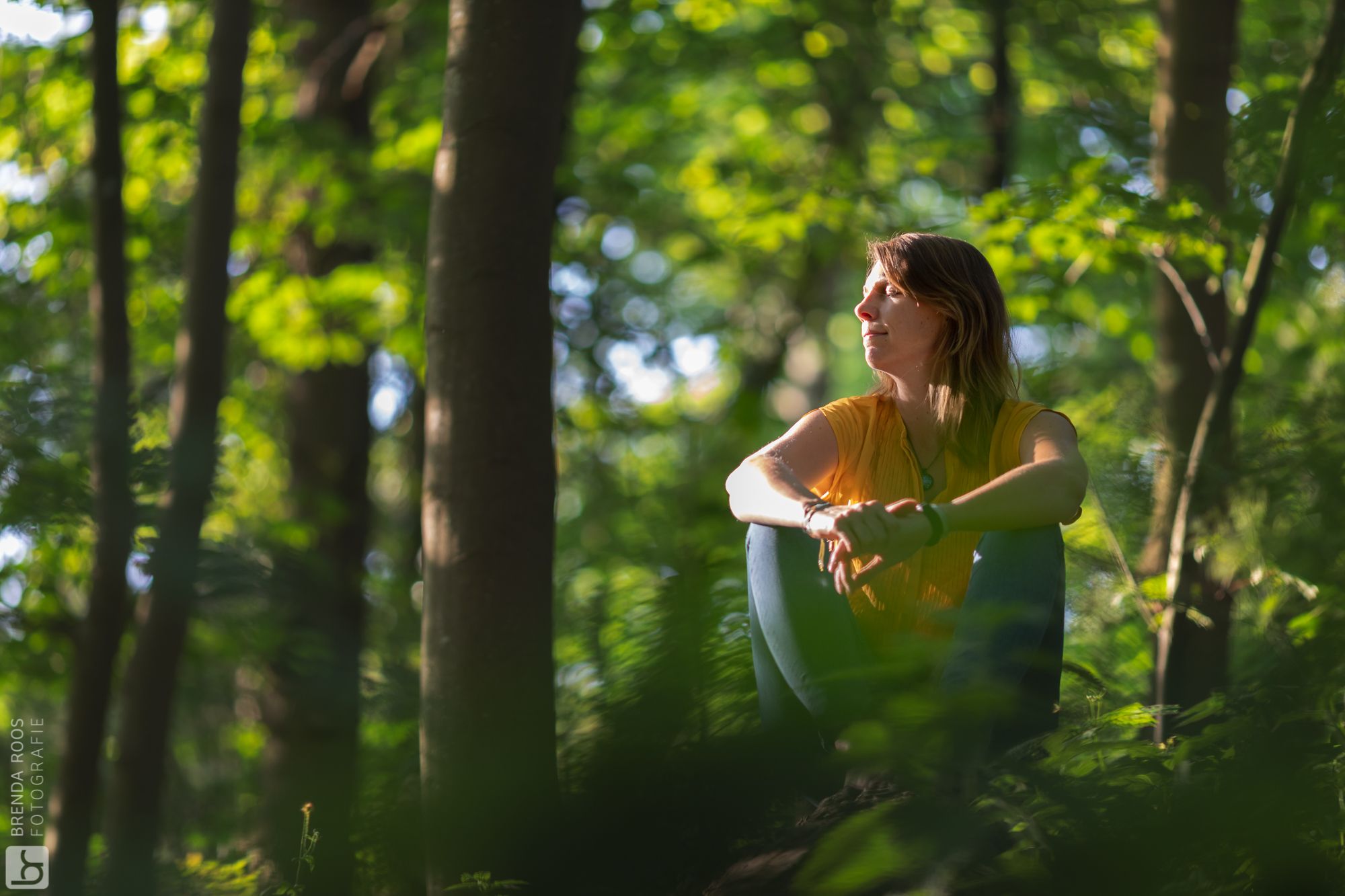 Interior Wave Programma