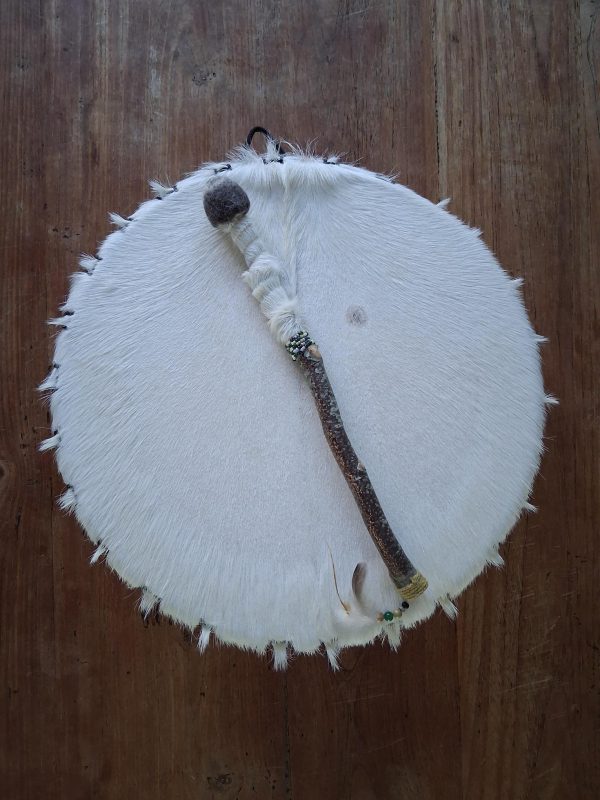 drum witte geit voor