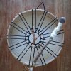 drum witte geit achter