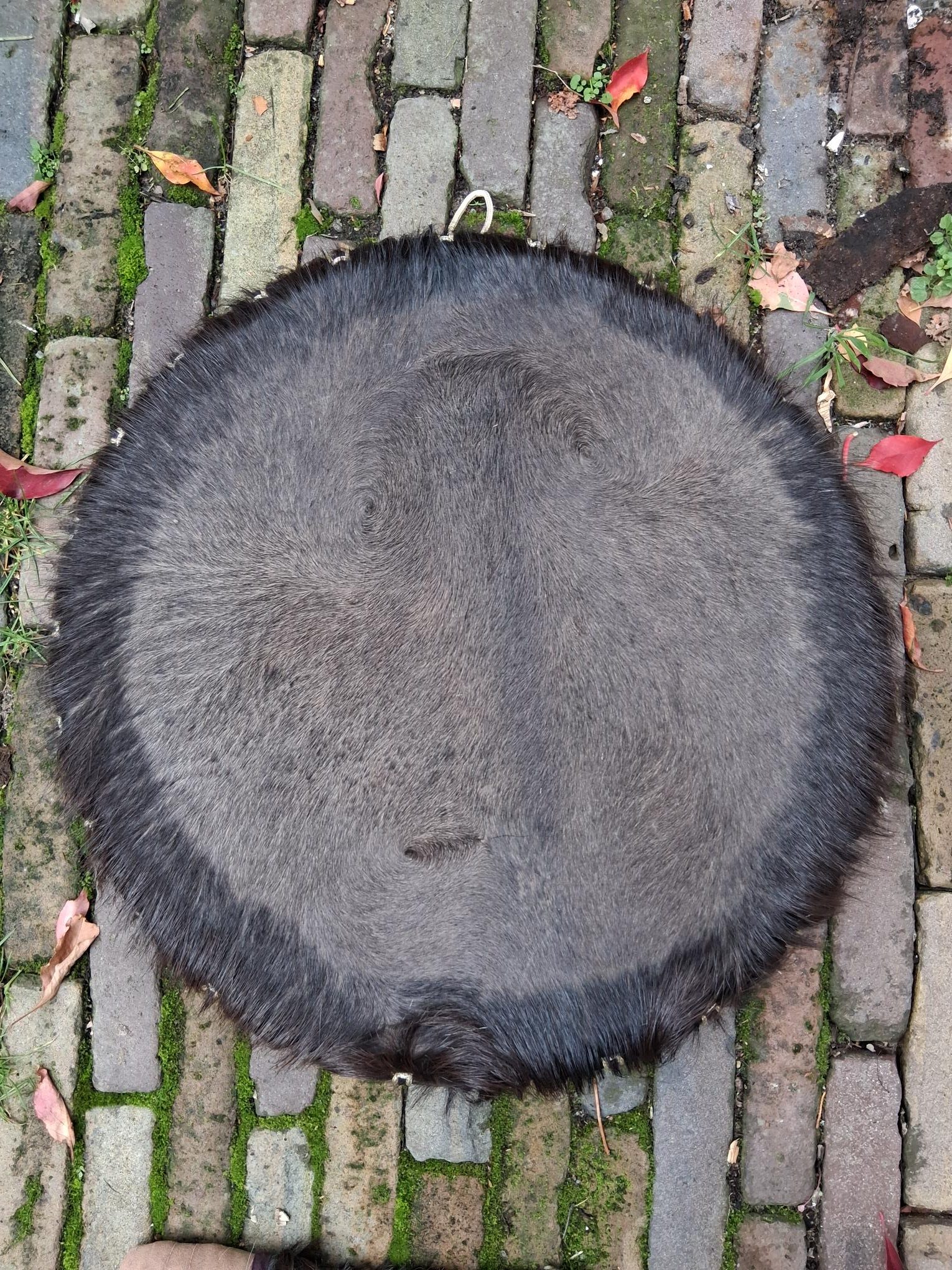 Spanbare sjamanen drum Waterbuffel - Afbeelding 2