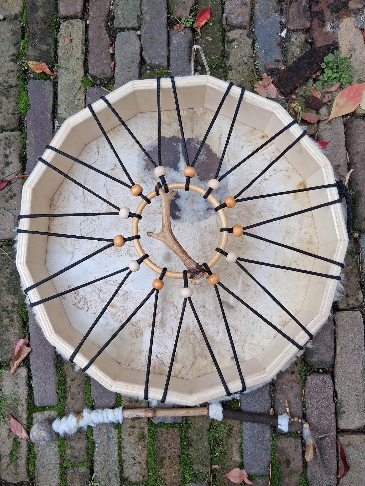 Spanbare sjamanen drum Witte koe met licht bruine vlek - Afbeelding 2