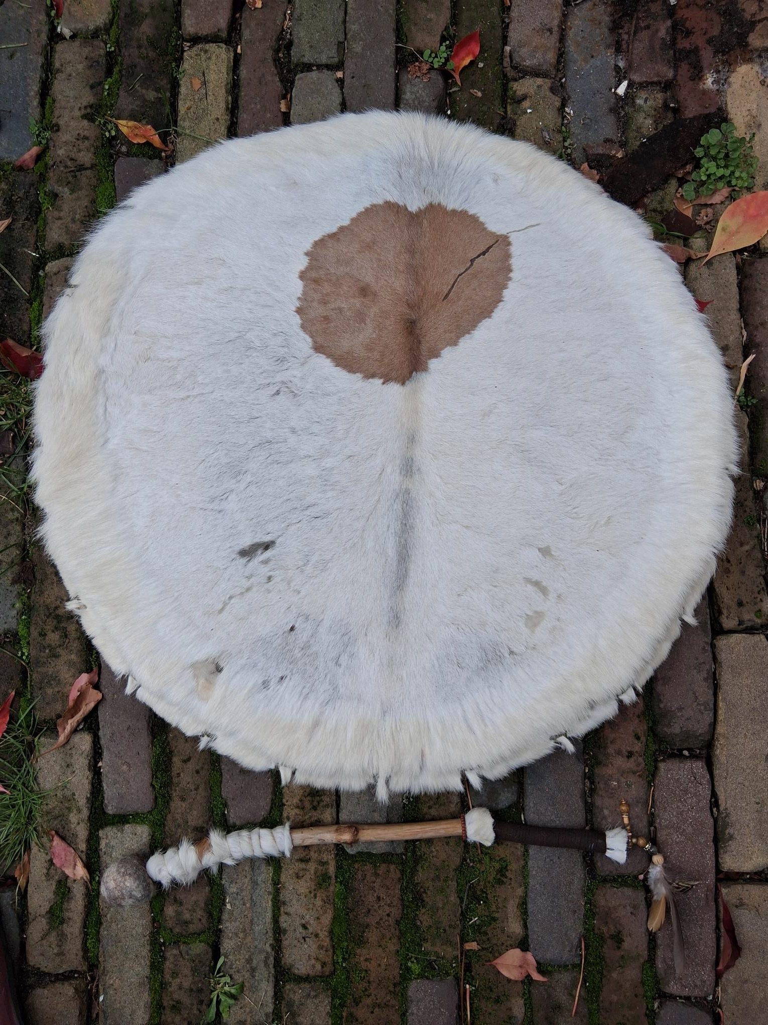 Spanbare sjamanen drum Witte koe met licht bruine vlek - Afbeelding 3